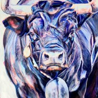Vaches d'Hérens