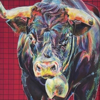 Vaches d'Hérens