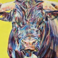 Vaches d'Hérens