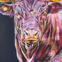 Vaches d'Hérens