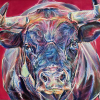 Vaches d'Hérens