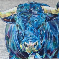 Vaches d'Hérens