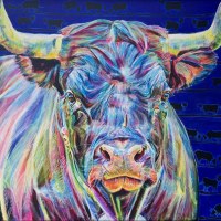 Vaches d'Hérens