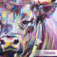 Vaches d'Hérens