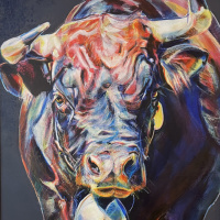 Vaches d'Hérens