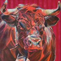 Vaches d'Hérens