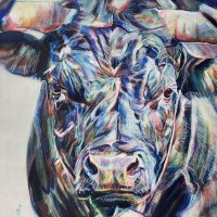 Vaches d'Hérens